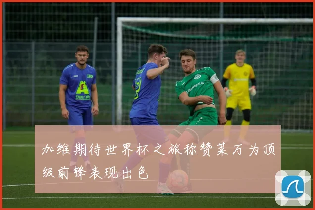 加维期待世界杯之旅称赞莱万为顶级前锋表现出色