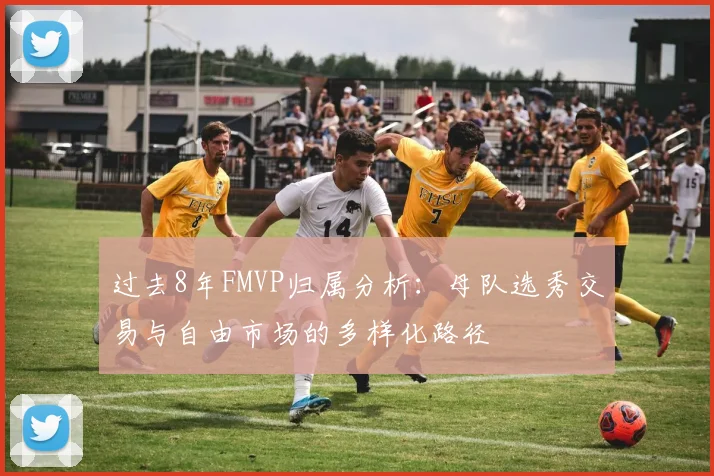 过去8年FMVP归属分析：母队选秀交易与自由市场的多样化路径